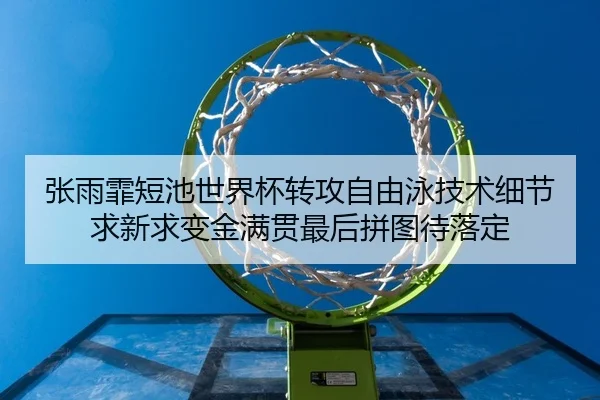 张雨霏短池世界杯转攻自由泳技术细节求新求变金满贯最后拼图待落定